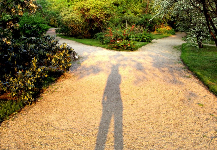 at_the_crossroad_by_hermanne_allan_poe